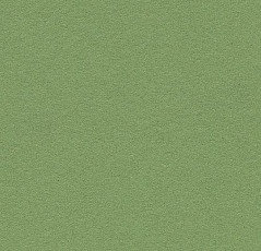 Линолеум Forbo Marmoleum Bulletin Board 2213 baby lettuce фото 1 | FLOORDEALER